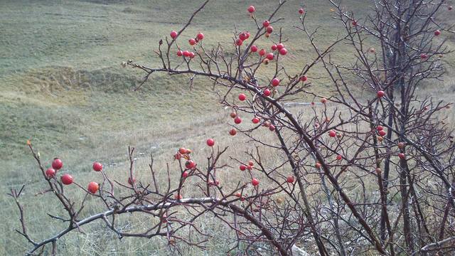 Опубликованное фото