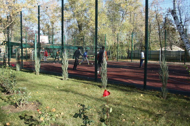 6759866_m.jpg