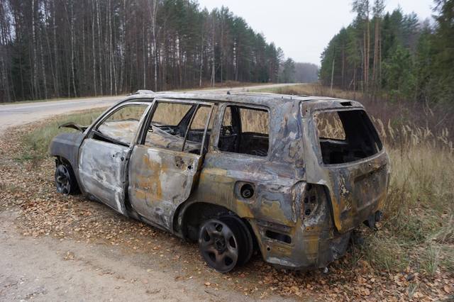 В д. Никитенки сгорел автомобиль 6767466_m