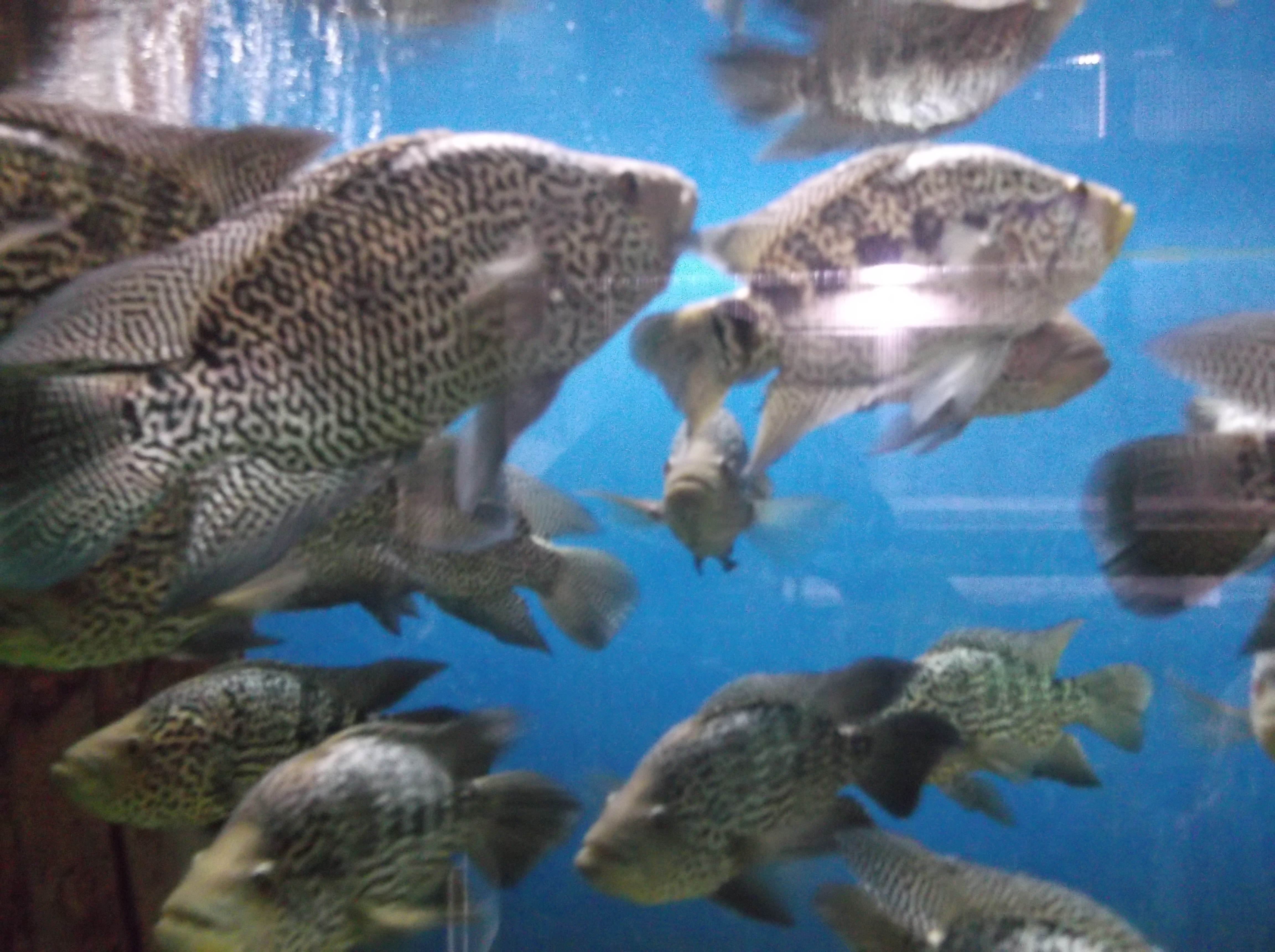 Изображение 288