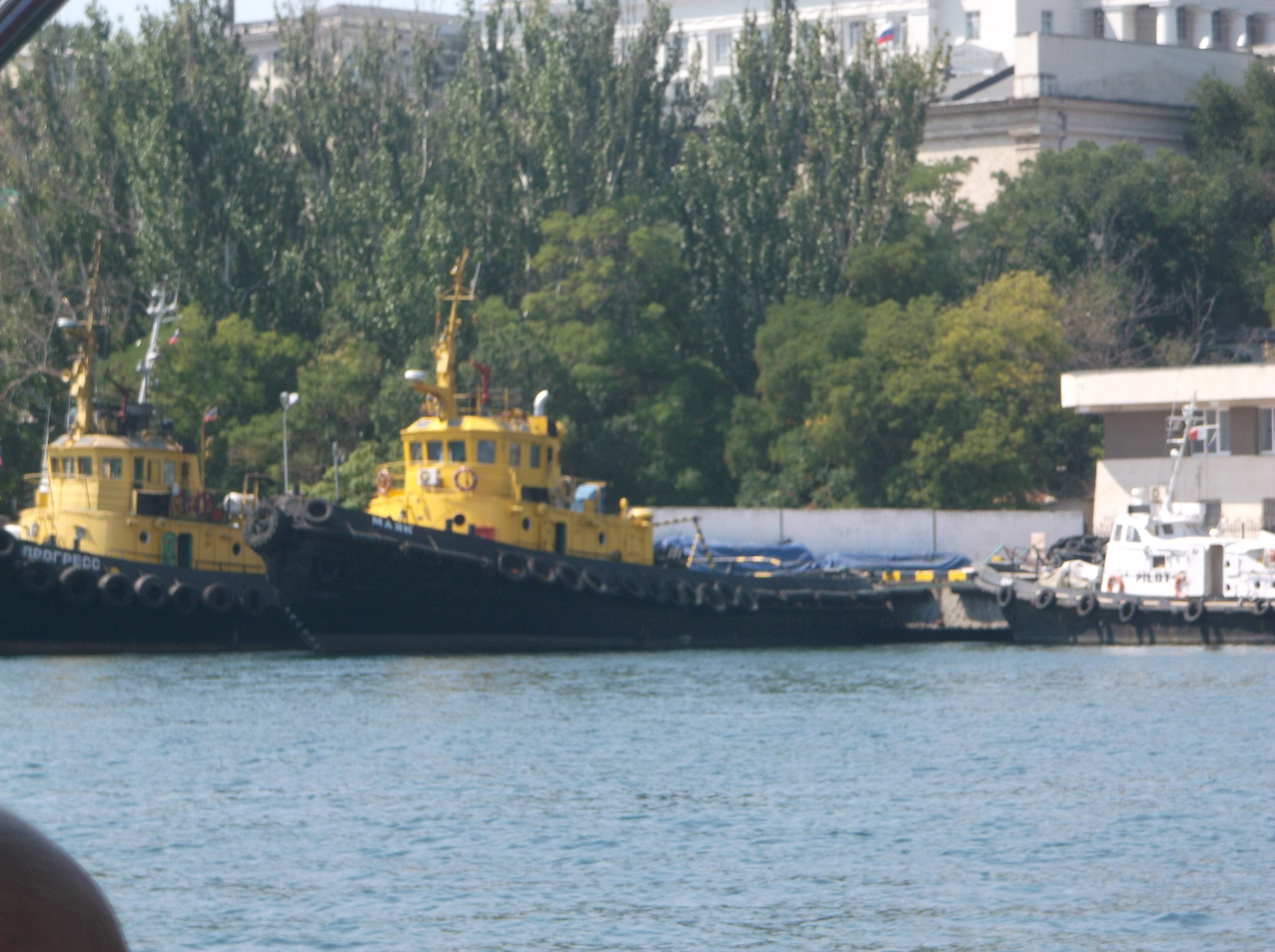 Изображение 348