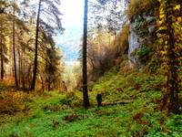 VFL.RU - ваш фотохостинг