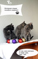 VFL.RU - ваш фотохостинг