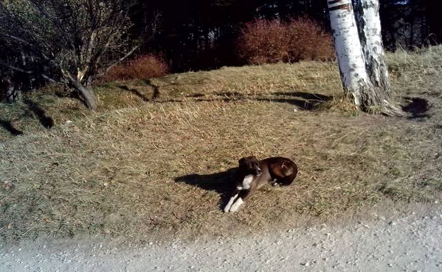 Что я увидела в Кисловодске в ноябре 2014 года