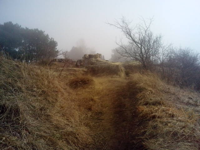 Что я увидела в Кисловодске в ноябре 2014 года