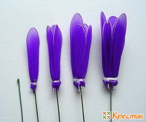 cvetok-iz-kaprona-iris