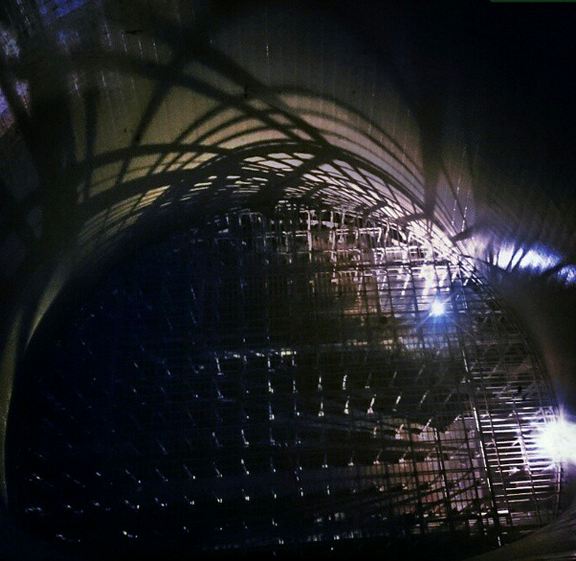 Петербургские экстремалы проникли на территорию АЭС в Сосновом Бору (фото)