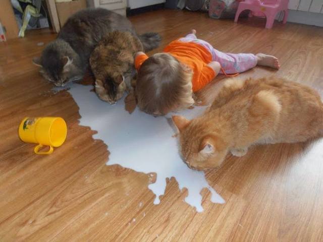 Посмеялся сам - поделись с другом!!!