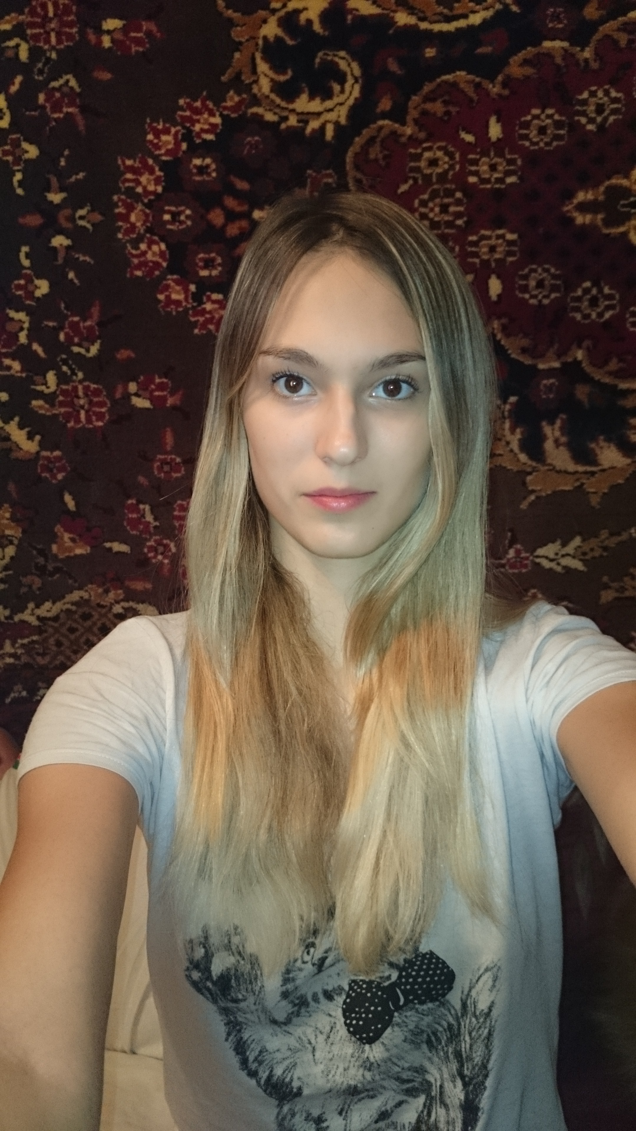 7268600.jpg