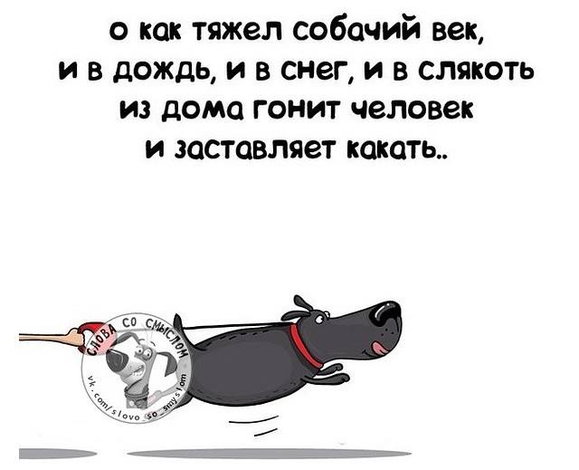 Посмеялся сам - поделись с другом!!!