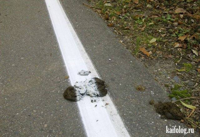 Посмеялся сам - поделись с другом!!!