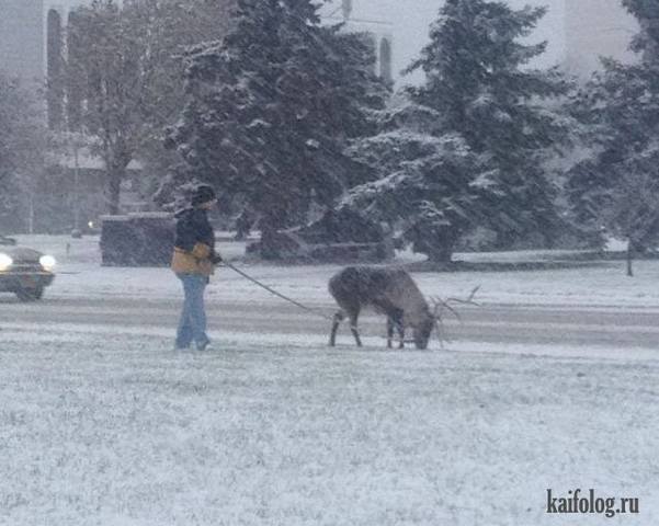 Посмеялся сам - поделись с другом!!!