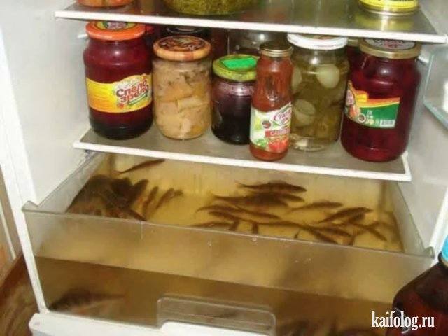 Посмеялся сам - поделись с другом!!!