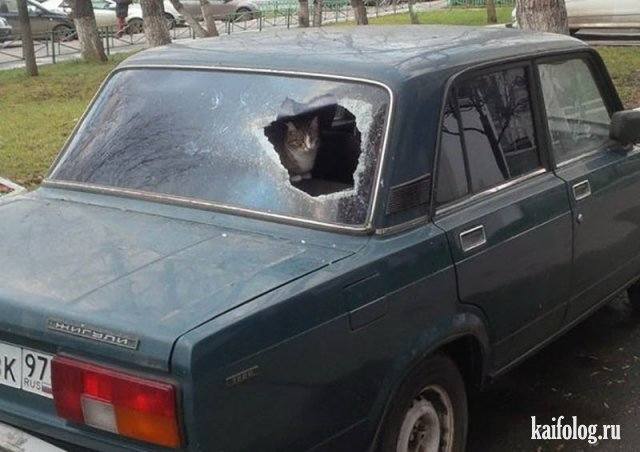 Посмеялся сам - поделись с другом!!!