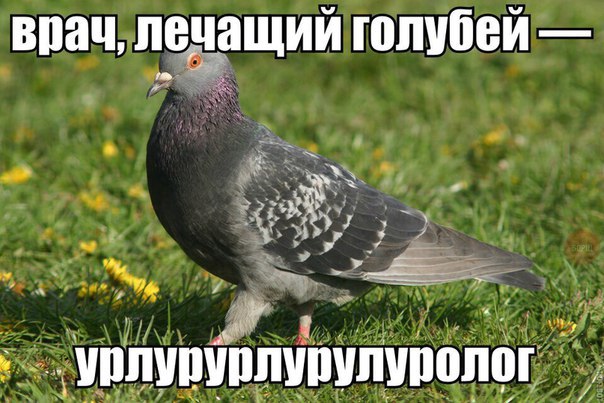 16930887.jpg