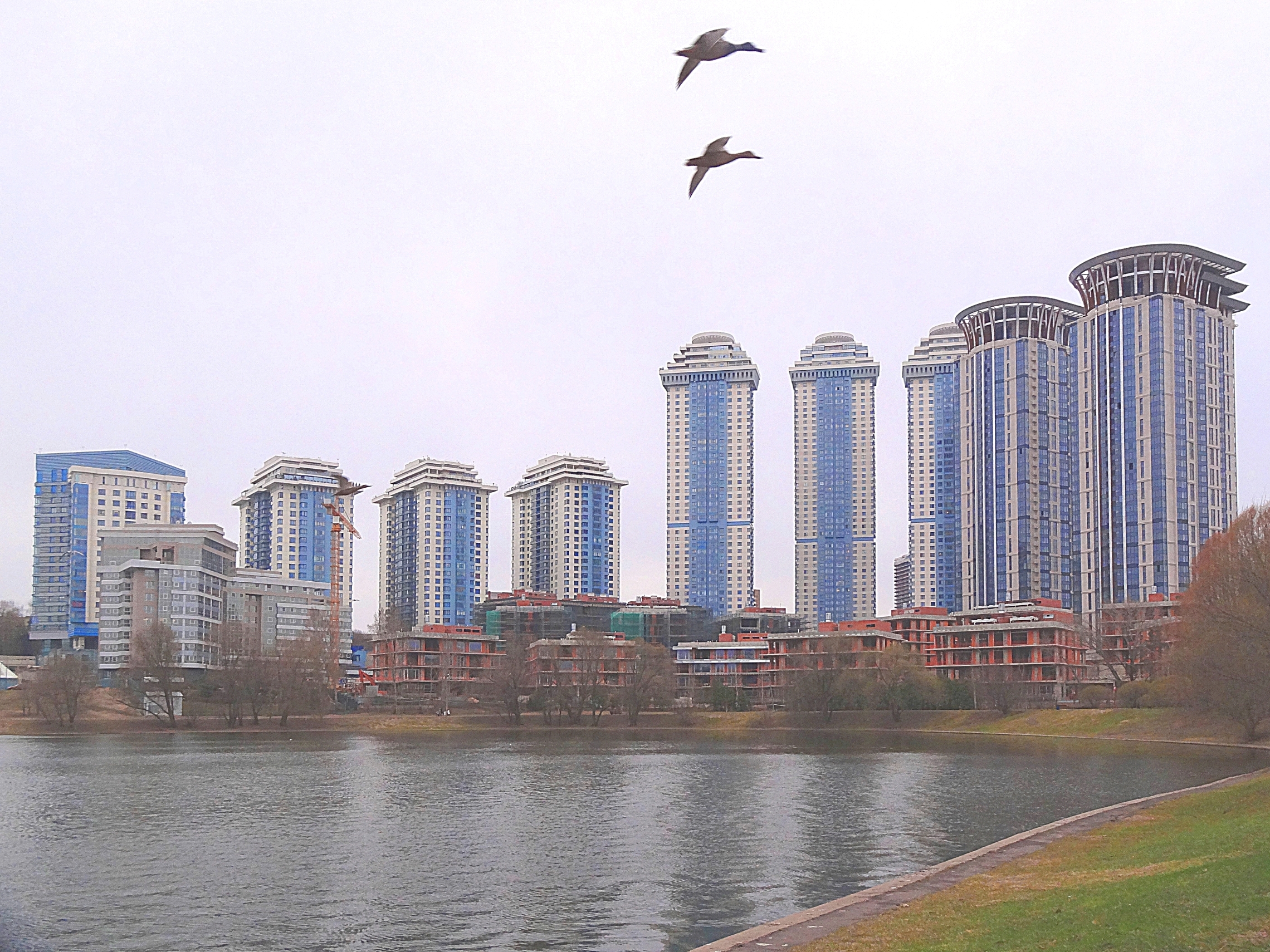 Новый массив у пруда вблизи Ломоносовского пр. и Мосфильмовской ул. Фото Морошкина В.В.