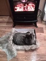 VFL.RU - ваш фотохостинг