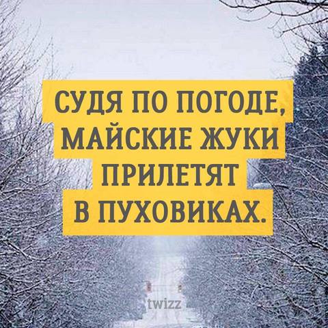 16984427_m.jpg