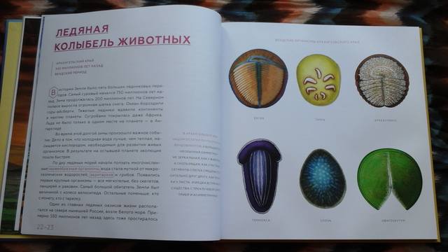 VFL.RU - ваш фотохостинг VFL.RU - ваш фотохостинг