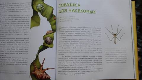 VFL.RU - ваш фотохостинг VFL.RU - ваш фотохостинг