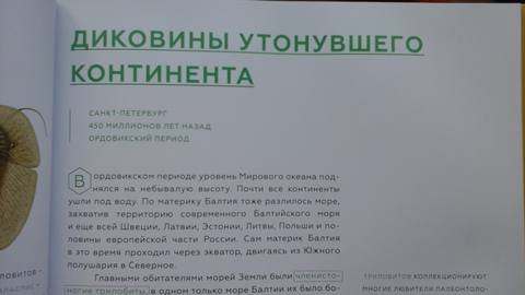 VFL.RU - ваш фотохостинг VFL.RU - ваш фотохостинг