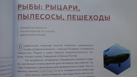 VFL.RU - ваш фотохостинг VFL.RU - ваш фотохостинг