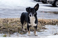 Зарецкие дворики-329