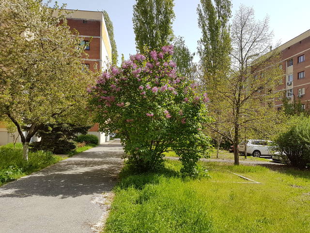 17050433_m.jpg