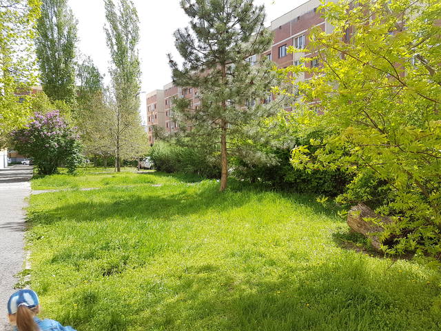 17050473_m.jpg