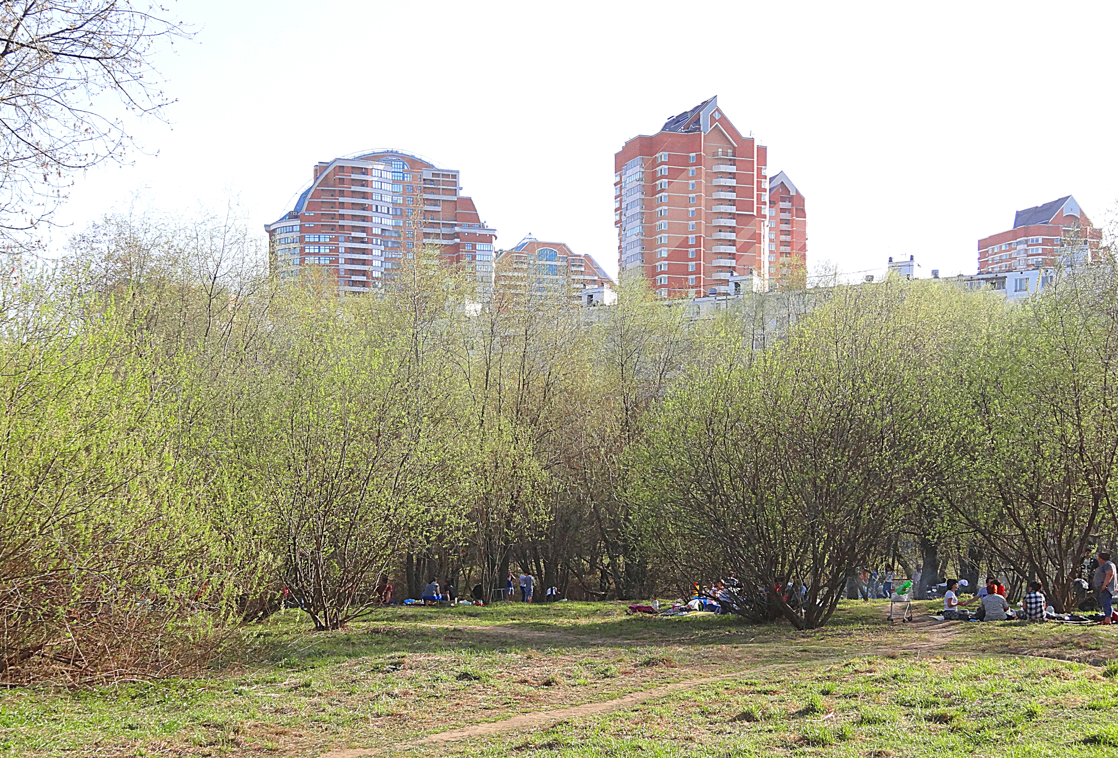 Пикники у Верхнего Тропарёвского пруда. Фото Морошкина В.В.