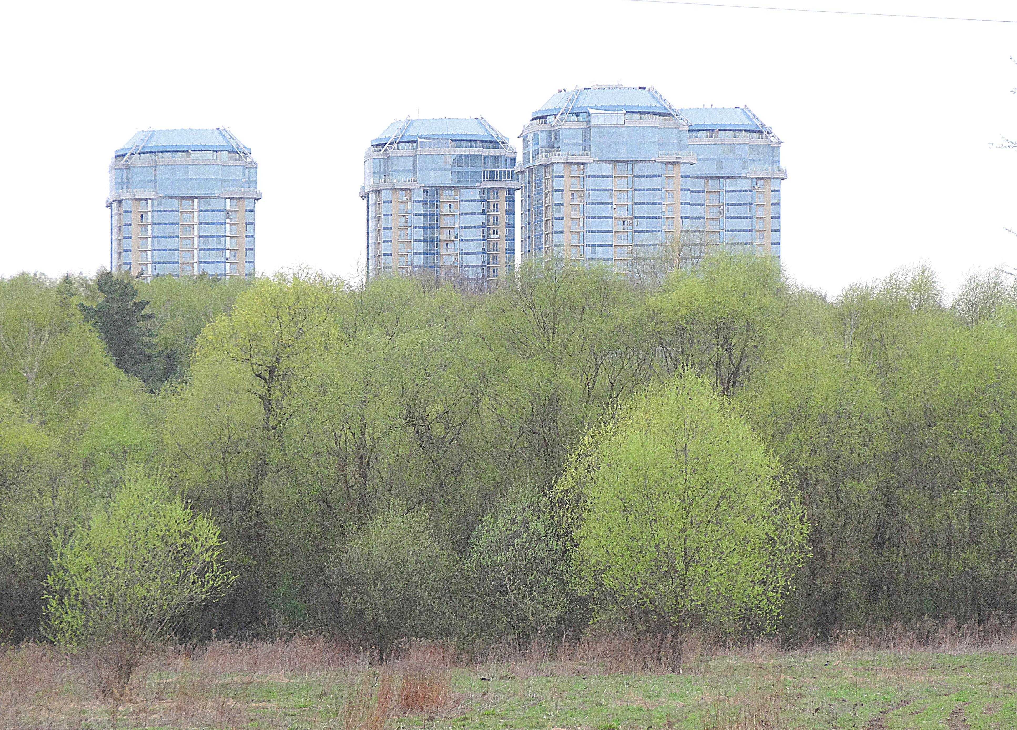 Новые здания р-на Матвеевское. Фото Морошкина В.В.