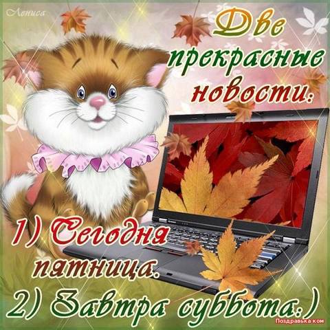 http://images.vfl.ru/ii/1493967483/6be8dfa6/17110832_m.jpg