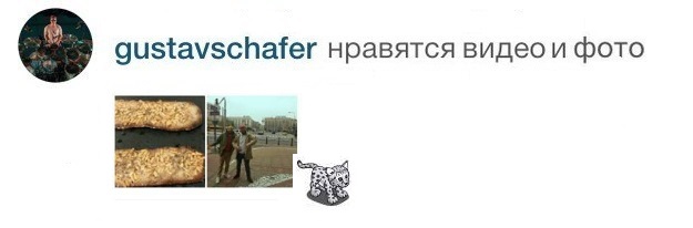 Gustav liked video and photo