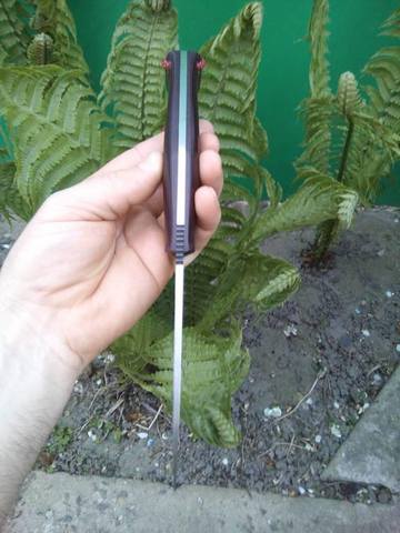 http://images.vfl.ru/ii/1494492251/ff582b89/17182626_m.jpg