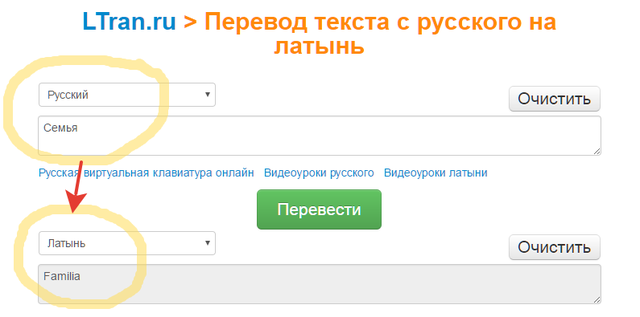 Изображение