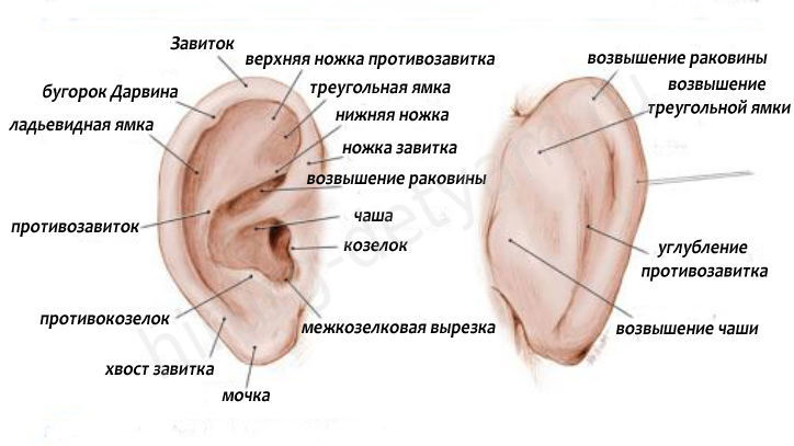 http://images.vfl.ru/ii/1495101857/d025a187/17266354.jpg