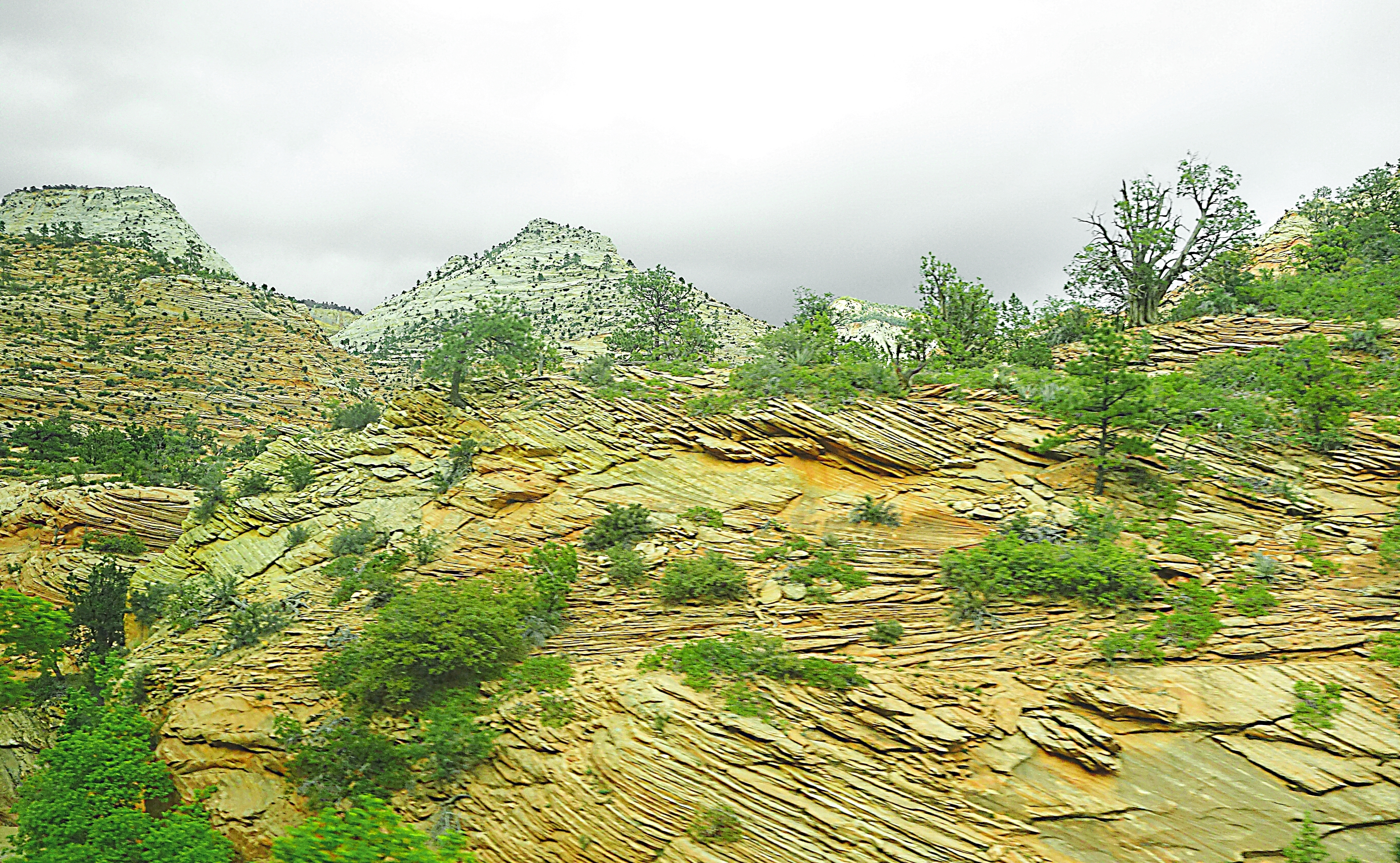 Холм слоистого песчаника в районе Брайс Каньона. Фото Морошкина В.В.