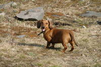 "Ключевской карьер", "Каменный Бор", thence5,