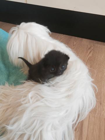 VFL.RU - ваш фотохостинг