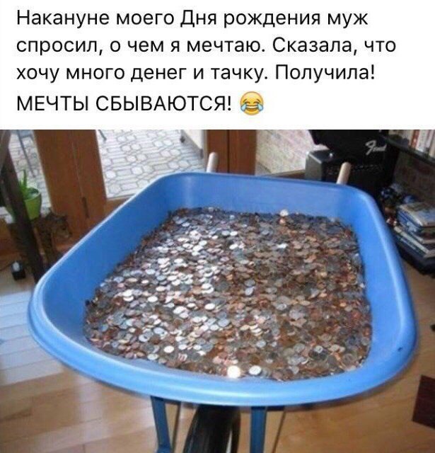 17404885.jpg