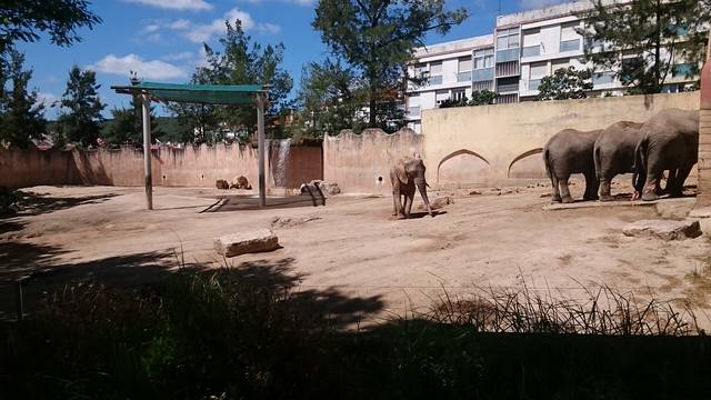 Лиссабонский Зоопарк 17406392_m