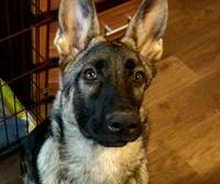 VFL.RU - ваш фотохостинг