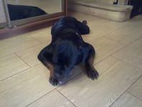 VFL.RU - ваш фотохостинг