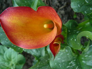 http://images.vfl.ru/ii/1496503888/d73c3f7f/17449523.jpg