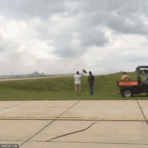 "Мыздобулы" в картинках. Смешных и не очень... Воскресный выпуск от 04.06.2017