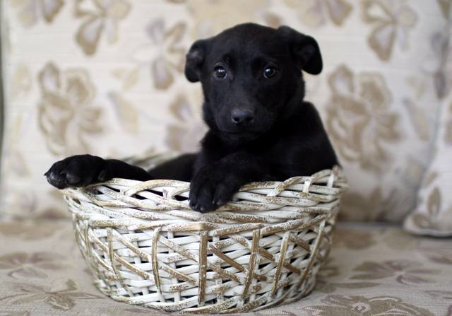 http://images.vfl.ru/ii/1496690833/5ed1ffd1/17476795_m.jpg