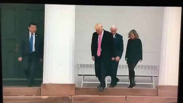 17478140_m.gif