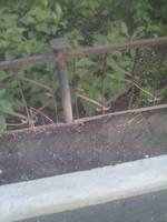 VFL.RU - ваш фотохостинг