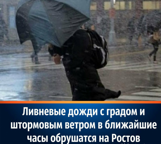 17514467_m.png