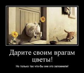 http://images.vfl.ru/ii/1497014393/137ef820/17515836.jpg